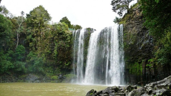 Whangarei Falls