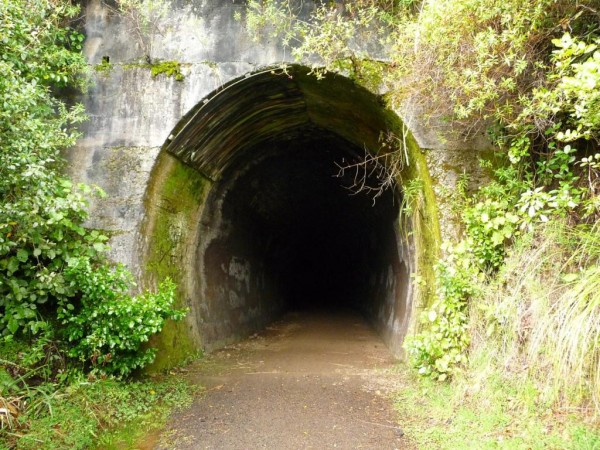 Into the dark