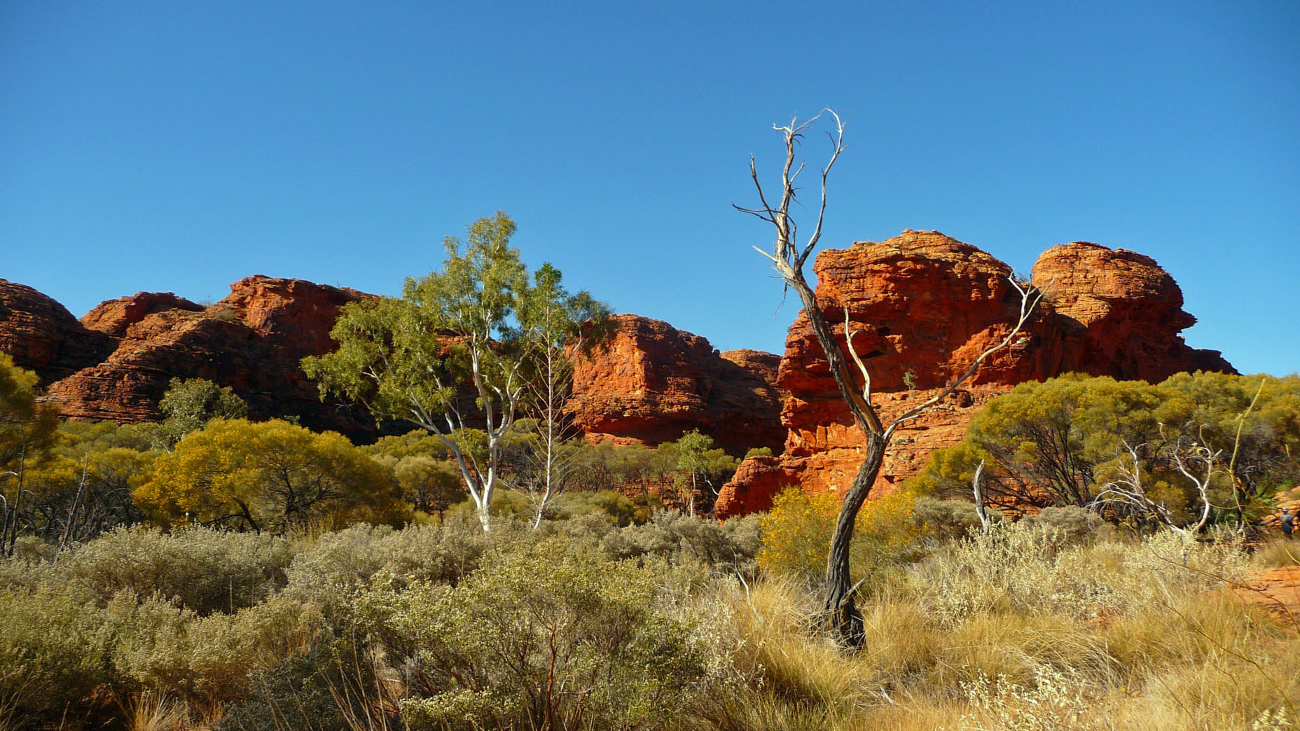 Kings Canyon 47