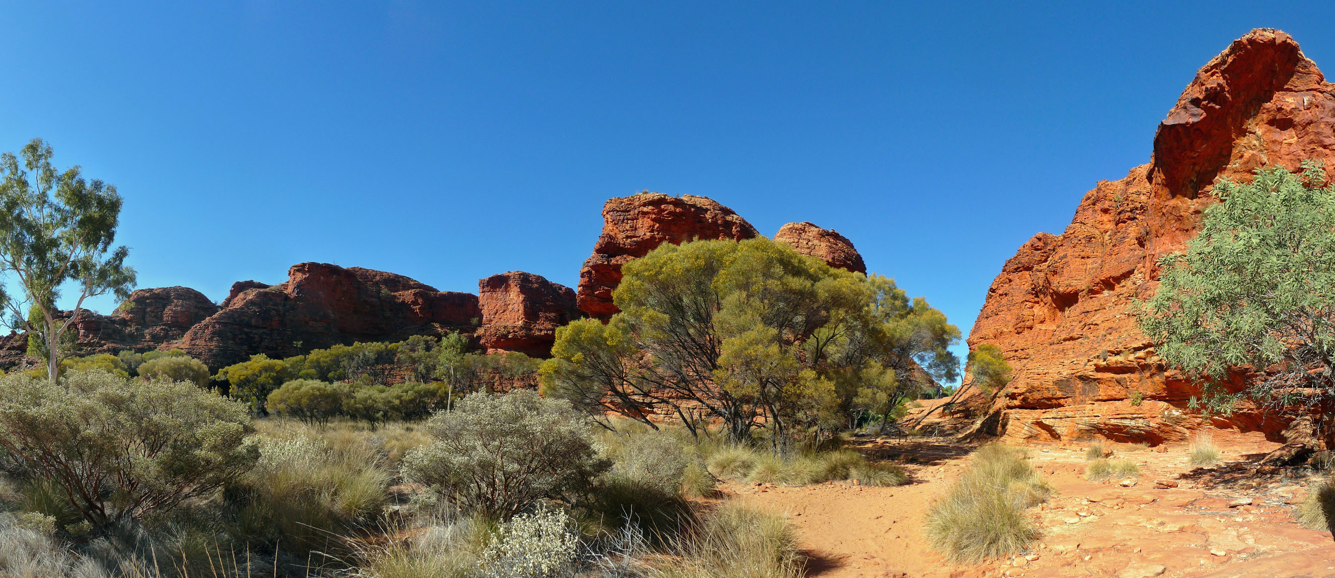 Kings Canyon 54-62