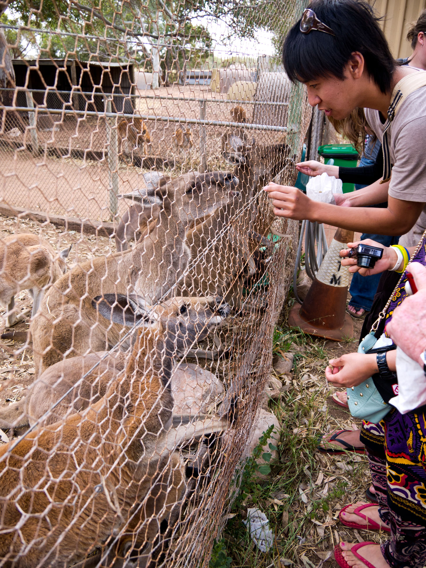 The Long Road Back - 3